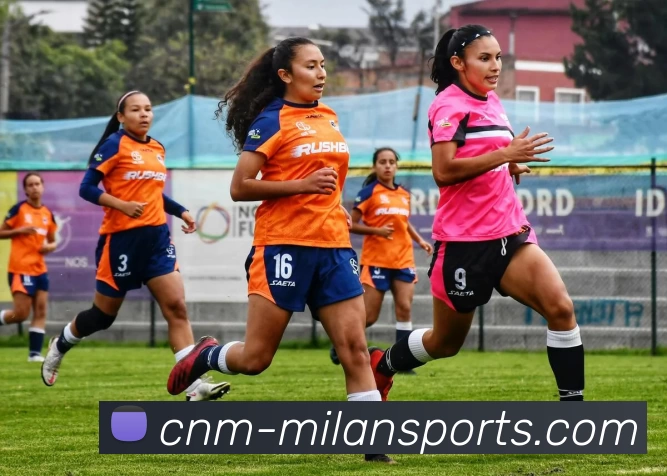 米兰体育官网APP 封面图